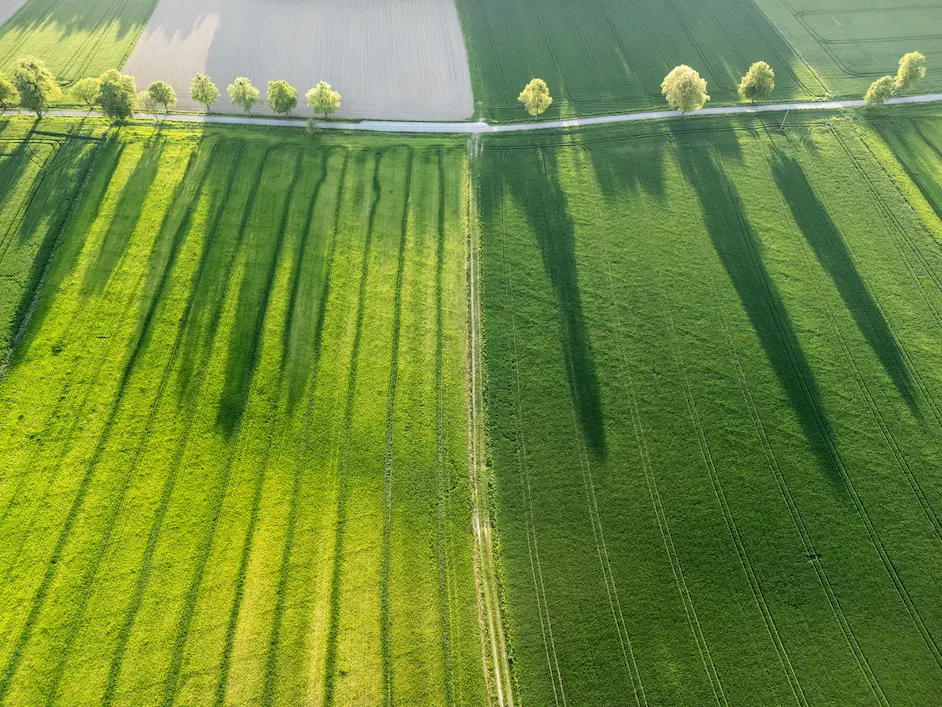 Analyse von Bodenqualität und Ertragsfähigkeit für Agrarflächen